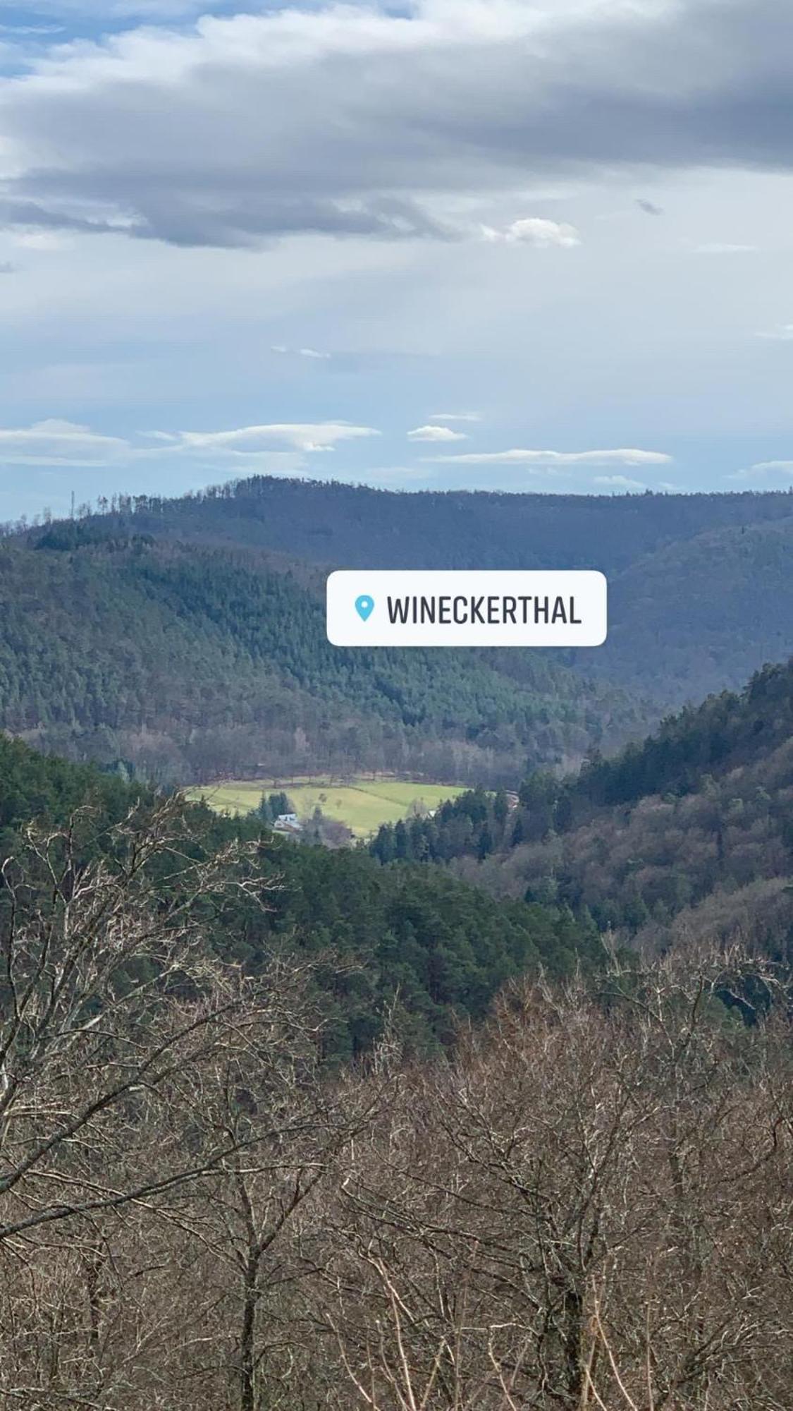 Le Wineck Villa Dambach Ngoại thất bức ảnh