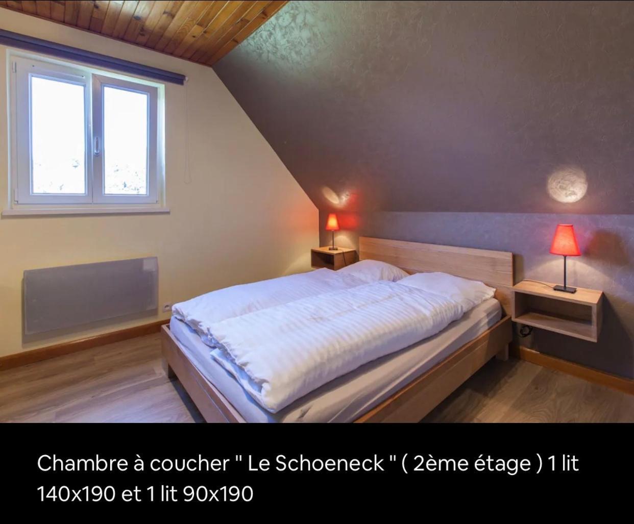 Le Wineck Villa Dambach Ngoại thất bức ảnh