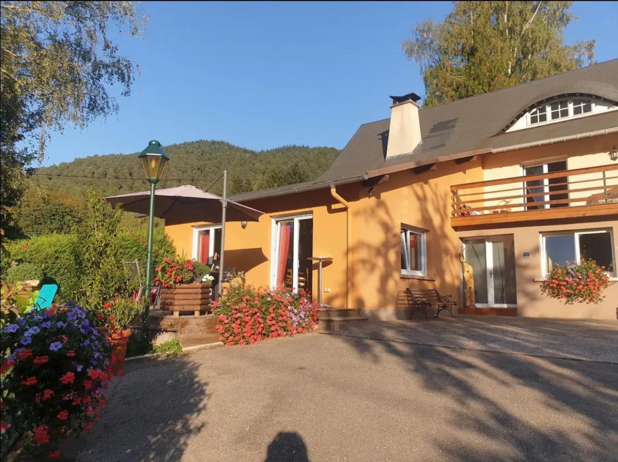 Le Wineck Villa Dambach Ngoại thất bức ảnh