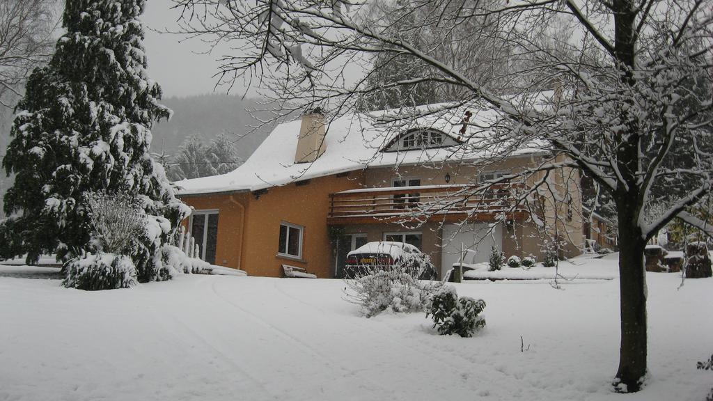Le Wineck Villa Dambach Ngoại thất bức ảnh