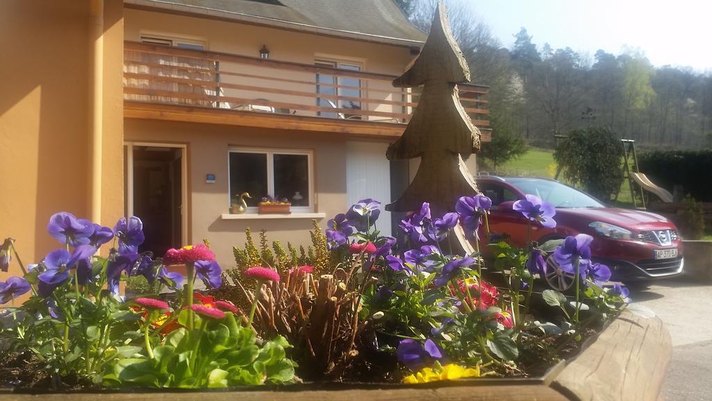 Le Wineck Villa Dambach Ngoại thất bức ảnh